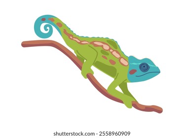 Funny colored chameleon jungle reptilian