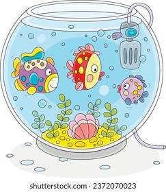 Funny colorful decorative fishes swimming and chatting in their home round aquarium with a tropical shell and seaweeds on the sand bottom, vector cartoon illustration on a white background