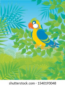 Funny colorful parrot perched on a green tree branch in tropical jungle, vector illustrations in a cartoon style