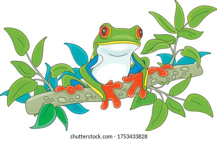 Funny colorful and poisonous tree frog sitting on a green branch in a wild tropical jungle, vector cartoon illustration on a white background