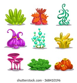 Funny Colorful Vector Fantasy Plants, Isolated On White