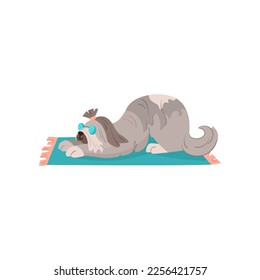 Graciosa historieta barbudo perro collie tumbado ilustración vectorial. Retrato de un lindo personaje de caricatura de cachorro en una alfombra de playa aislada en un fondo blanco. Verano, vacaciones, concepto de mascotas