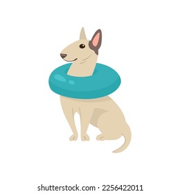 Funny comic bull terrier dog with inflatable ring illustration. Portrait of cute puppy cartoon character with accessory isolated on white background. Summer, vacation, pets concept