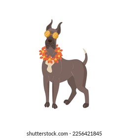 Funny comic doberman dog with glasses vector illustration. Portrait of cute puppy cartoon character with accessory isolated on white background. Summer, vacation, pets concept
