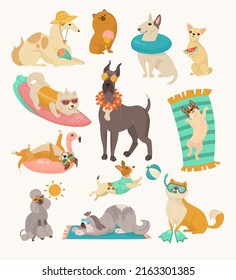 Funny comic dogs with beach accessories vector illustrations set. Portraits of cute puppy cartoon characters with swimming accessories isolated on white background. Summer, vacation, pets concept