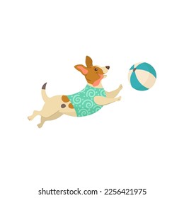 Funny comic jack russell terrier dog playing with ball illustration. Portrait of cute puppy cartoon character playing isolated on white background. Summer, vacation, pets concept