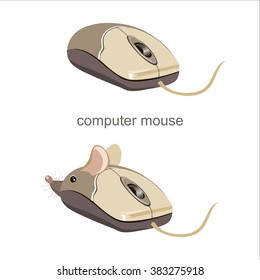 Funny computer mouse with ears and tail, character for kids