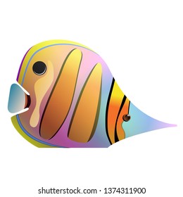 funny coral fish