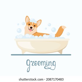 Funny corgi in the bathroom with foam. Grooming. Cartoon design.
