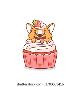 Funny corgi dog in a cupcake, decorated with strawberries. It can be used for menu, brochures, poster, sticker, card etc. Vector image isolated on white background.