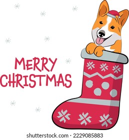 Funny Corgi dog with paws in Christmas stocking. Funny holiday greeting card with a cute dog head. New year postcard. Winter gift, pet in socks, cute X-mas design with a favorite pet in a hat.  