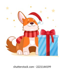 Funny corgi in a New Year's hat with a gift box , New Year's holidays, Christmas, congratulations