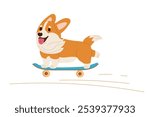 Funny funny corgi puppy is racing on skateboard. Thoroughbred dog isolated. Puppy character with cheerful face expression. Dog with fur fluttering in wind. Domestic animal. Flat vector illustration