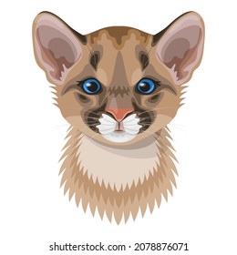 Funny cougar cub face or head vector illustration. Young wild cat with blue eyes isolated on white backgriund. Cute furry animal in flat cartoon style.