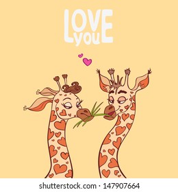 Funny couple in love giraffes