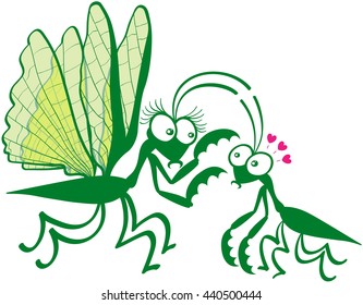 Funny couple of praying mantises showing a big female while hypnotizing its mate by attracting its attention to its spiny front legs. The tiny male looks fascinated and shows big eyes and red hearts