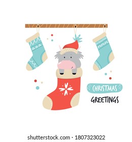 Funny cow in a hat sitting in a holiday sock. Merry Christmas illustration, poster with cute animal and socks