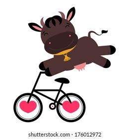 Funny cow on a bicycle