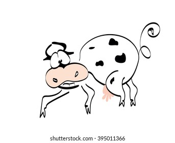funny cow on a white background