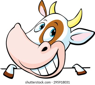 funny cow peeks out from behind a white surface - vector cartoon illustration