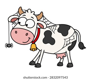Funny cow with spider web and small spider, cute Halloween farm animal cartoon character with black spots, isolated on white background.