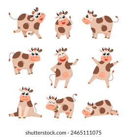 Funny cows. Farm animals, cute cow different poses cartoon characters. Emotional animal sleeping and has fun. Agriculture, farmland classy vector clipart