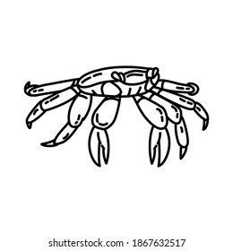 Funny Crab Beach Holiday Hand Drawn Icon Set Vector.