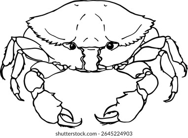 Funny crab sketch illustration in freehand doodle style for beach cafe menus seaside posters children’s design and shellfish-themed branding Vector illustration
