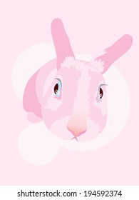 Funny curious chicken-hearted rabbit