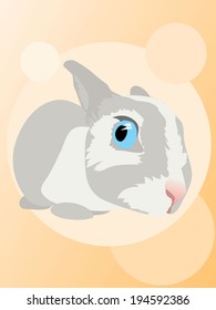 Funny curious chicken-hearted rabbit