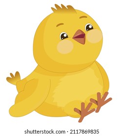 Funny curious yellow chicken. Cute bird with rosy cheeks and wide eyes isolated on white background.