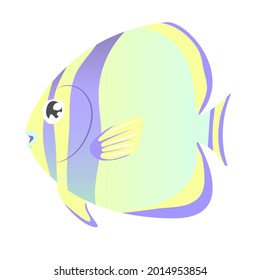 Funny cute angel fish isolated on gray background. Vector illustration. Sea animals, underwater  wild life. Childish clothes design. Baby educate. 