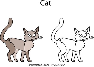 Funny cute animal cat isolated on white background. Linear, contour, black and white and colored version of pet. Illustration can be used for coloring book and pictures for children
