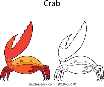 Caranguejo animal bonito engraçado isolado no fundo branco. Linear, contorno, preto e branco e versão colorida. A ilustração pode ser usada para colorir livros e imagens para crianças