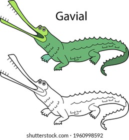 Funny cute animal gavial isolated on white background. Linear, contour, black and white and colored version. Illustration can be used for coloring book and pictures for children