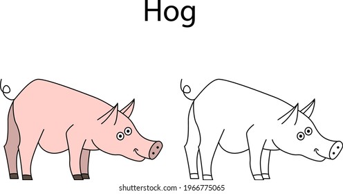 Engraçado porco animal bonito isolado no fundo branco. Linear, contorno, preto e branco e versão colorida. A ilustração pode ser usada para colorir livros e imagens para crianças