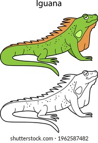 Funny cute animal iguana isolated on white background. Linear, contour, black and white and colored version. Illustration can be used for coloring book and pictures for children