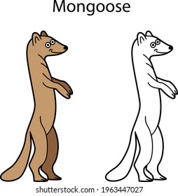 Funny cute animal mongoose isolated on white background. Linear, contour, black and white and colored version. Illustration can be used for coloring book and pictures for children