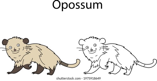 Funny cute animal opossum isolated on white background. Linear, contour, black and white and colored version. Illustration can be used for coloring book and pictures for children