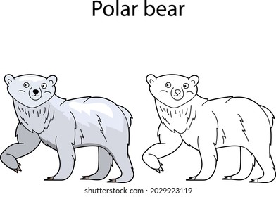 Funny cute animal polar bear isolated on white background. Linear, contour, black and white and colored version. Illustration can be used for coloring book, design template and pictures for children