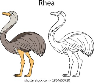 Funny cute animal rhea isolated on white background. Linear, contour, black and white and colored version. Illustration can be used for coloring book and pictures for children