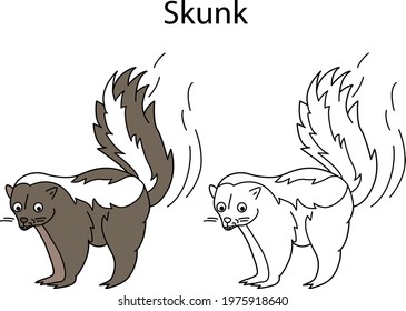 Funny cute animal skunk isolated on white background. Linear, contour, black and white and colored version. Illustration can be used for coloring book and pictures for children