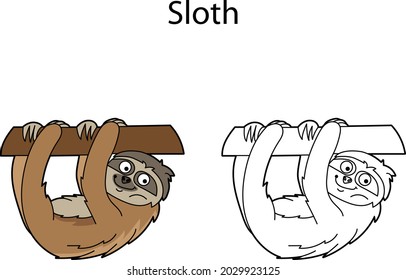 Funny cute animal sloth isolated on white background. Linear, contour, black and white and colored version. Illustration can be used for coloring book, design template and pictures for children