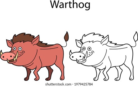 Funny cute animal warthog isolated on white background. Linear, contour, black and white and colored version. Illustration can be used for coloring book and pictures for children