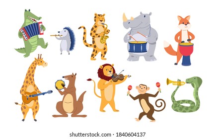 Funny cute animals play musical instruments