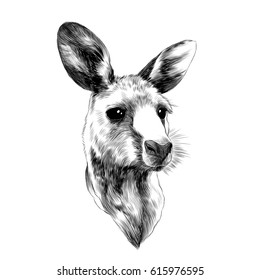 Funny Cute Baby Kangaroo Head Sketch Vector Graphics Black And White Drawing