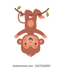 Funny cute baby monkey hanging upside down on vine. African tropical animal cartoon character vector illustration