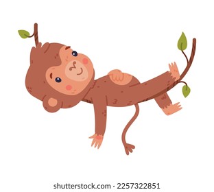 Funny cute baby monkey lying on vine. African tropical animal cartoon character vector illustration