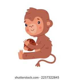 Funny cute baby monkey sitting with coconut. African tropical animal cartoon character vector illustration