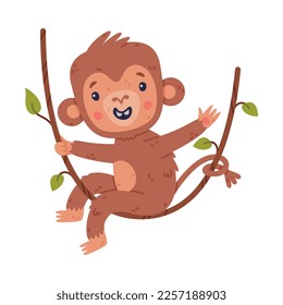 Funny cute baby monkey swinging on vine. African tropical animal cartoon character vector illustration